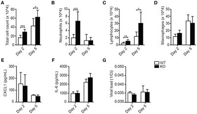 LAIR-1 Limits Neutrophilic Airway Inflammation